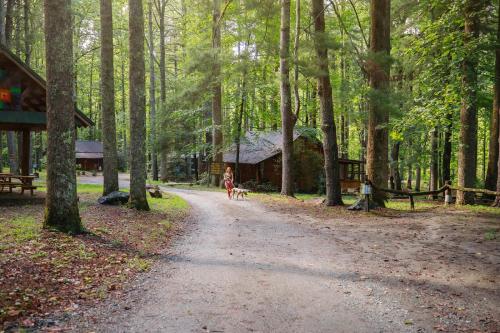 Multiple cabins at Cabin Fever, Saluda (photo 2)
