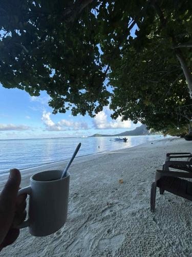 Surrounding environment, Maupiti Bambou Camping near Maupiti Airport
