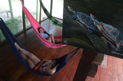tambobopata green in Sandoval