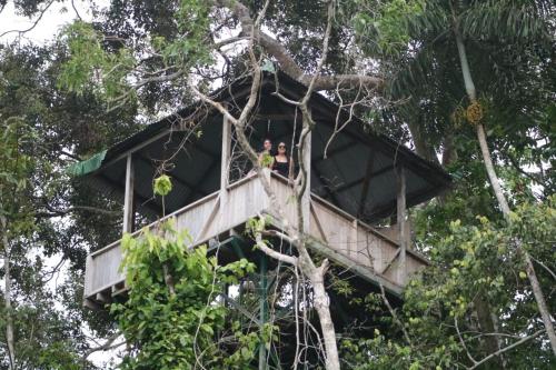 tambobopata green in Sandoval