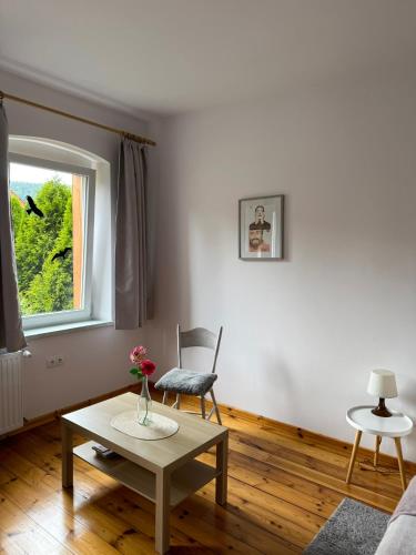 Apartament Albion, Szklarska Poręba (foto 6)