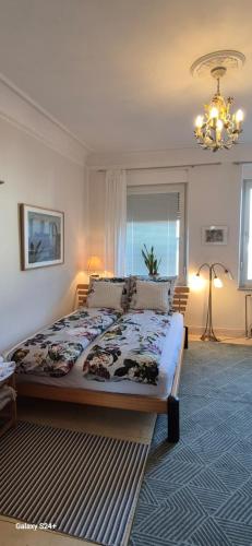 Schoenes helles Zimmer mit Bad, Nähe Bilk, Nähe Uni, Düsseldorf (Foto 6)
