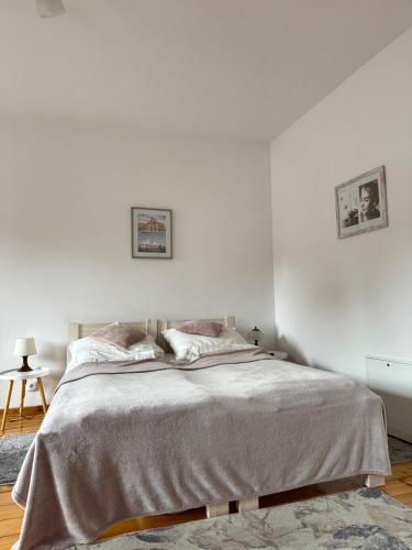 Apartament Albion