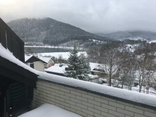 Mountain and lake views