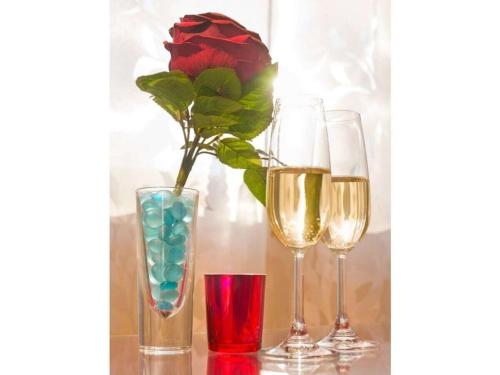 المرافق, 1-bedroom holiday apartment in دايسن دورف