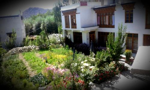 Jimmy's Homestay