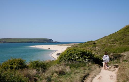 บริการและสิ่งอำนวยความสะดวก, Shellseekers in แพดสโตว์