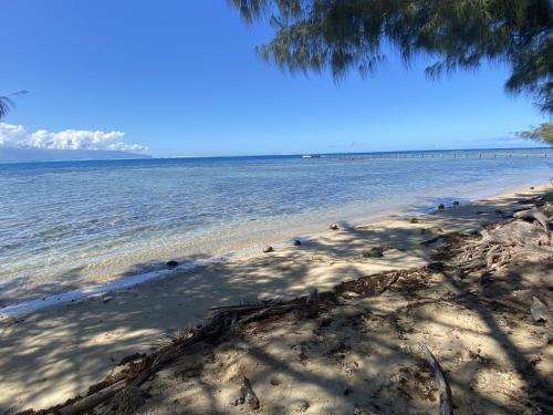 MOOREA - Naku Kahi Bungalow 2 in มาเทีย