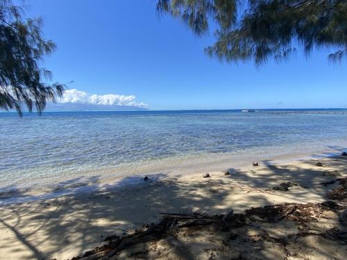 館内設備, MOOREA - Naku Kahi Bungalow 1 in マアタ