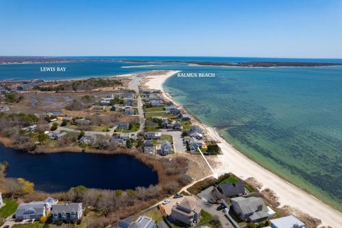 Hydrangeas by the Sea, Barnstable (fotografie 5)