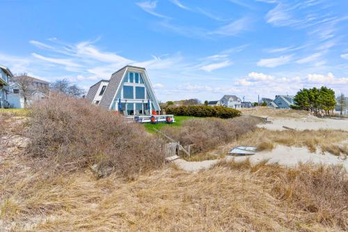 Hydrangeas by the Sea, Barnstable (fotografie 7)