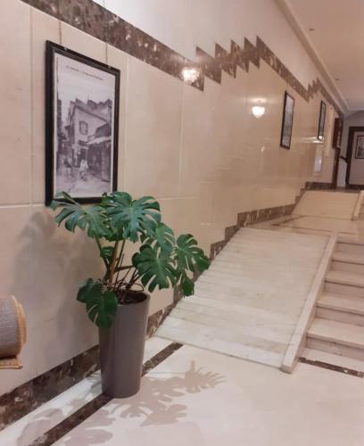 Molay yosafe in Souani