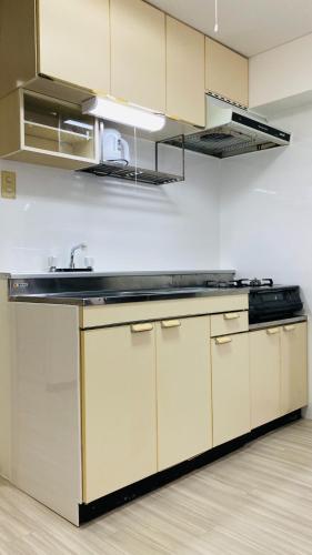 Endless Mitsui Minami 5jo II - Vacation STAY 18282