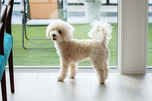 Tabinoteitaku Y-beach - Vacation STAY 91093v