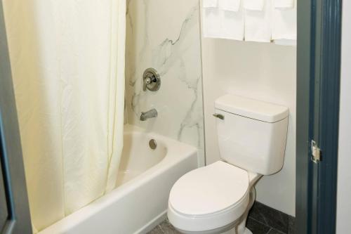 Quality Inn Rome - image 10