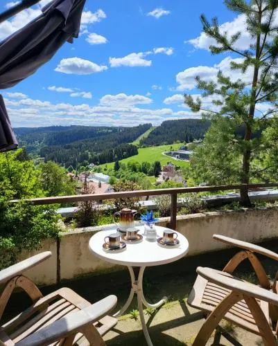 Schonach mountain-Top, forest, free parking, new kitchen, renovated bathroom in Schonach, Deutschland