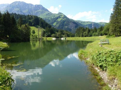 Apartment Dieter 1 - image 13