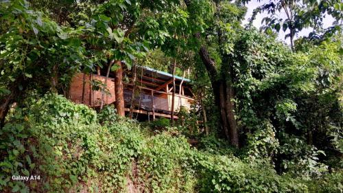 Фасада на хотела, cabane entre les arbres famille in Bas Vent