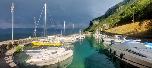 A környék, Le Jardin du Lac - Calme et Sérénité (Le Jardin du Lac - Calme et Serenite) in Meillerie