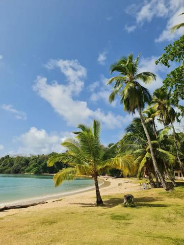 附近景點, Beachfront House In Isla Grande Province of Colon in 格蘭德島