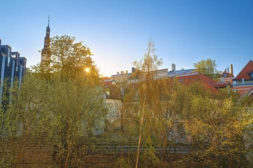 Old Town, Next to Town Hall Square, Quiet, Infrared sauna, Tallinn (photo 4)