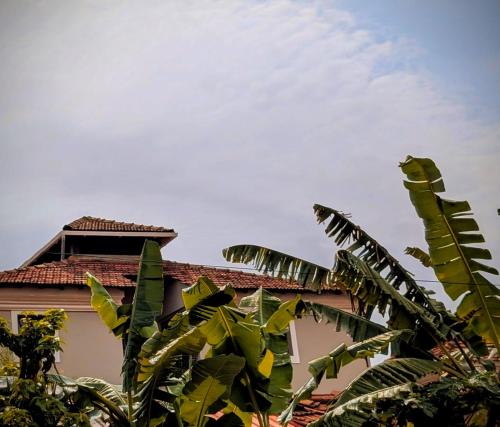 View, Canto Hostel and Stays in Panaji
