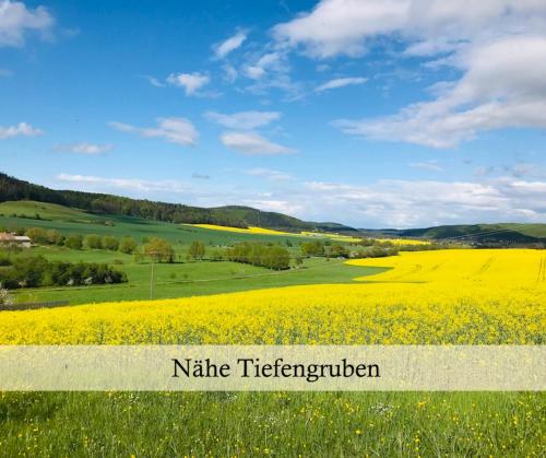 周邊環境, Ferienwohnung Morgensonne am Kurpark Bad Berka # Parkplatz # Spielplatz # WLAN # 2 Schlafzimmer (Ferienwohnung Morgensonne am Kurpark Bad Berka # gratis Parkplatz # ebenerdig # Spielplatz # WLAN # ) in 巴特貝爾卡