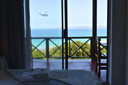 Skats, At Whale-Phin Guest House in Reebok