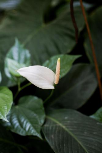 Innoplaza Cocody - image 4