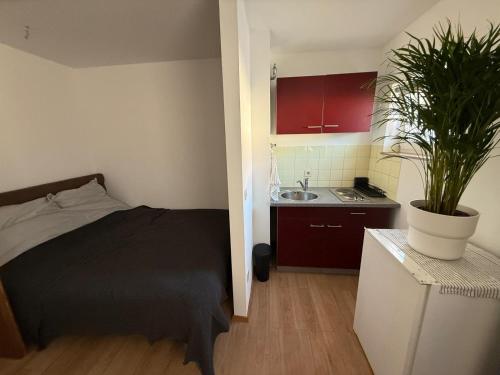 Apartment Schwabing Balkon und Garage inklusive, München (Foto 5)