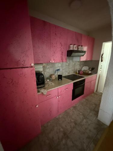 Privatan smeštaj Plava kuća (Privatan smestaj Plava kuca) in Mataruška Banja