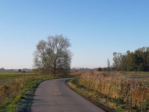 Ferienwohnung-Nordsee - image 8
