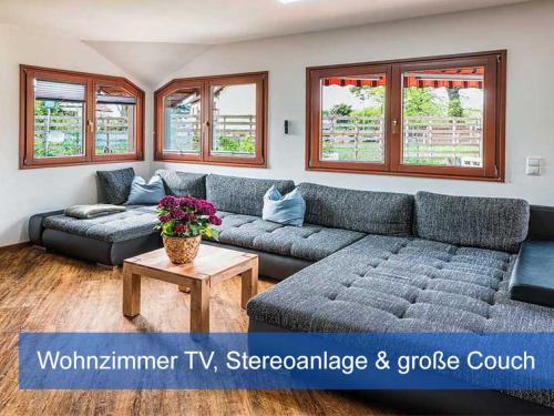 Ferienhaus Elbharmonie - Hunde willkommen, Garten vollständig umzäunt, Pool, Kamin und Spielzimmer - super für Familientreffen, Dresde (photo 8)