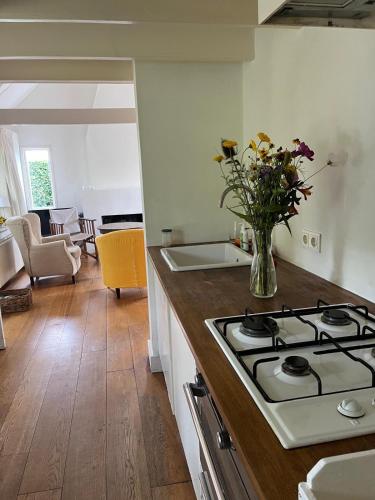 Vakantiehuisje in de Polder in Oostburg