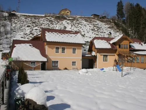 Apartment in Rennweg near Katschberg Ski Area in Rennweg, Österreich
