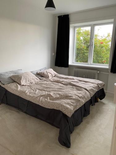 Comfort & Calm, Copenhague (foto 3)
