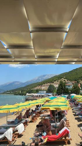 pludmale, Dallga Suites in Tušemišta