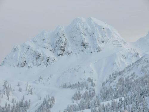 Haus Truppe - image 5