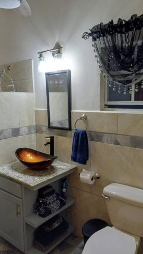 DNA Studio in Potters Village