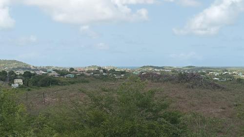 DNA Studio in Potters Village