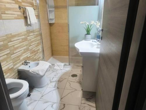 Napoleone Luxury Home roma