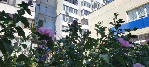 Уютное место, Čerkasy (foto 7)