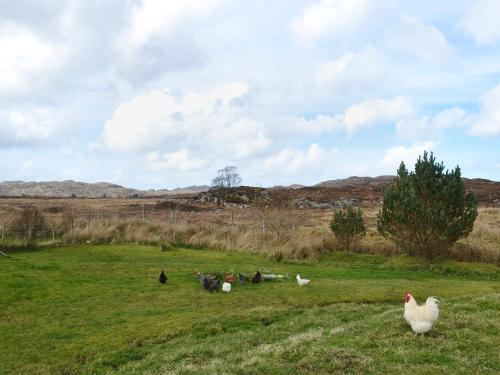 外部景觀, 河景鄉村別墅 (Riverview Cottage) in 阿哈勒豪