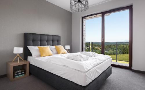 Czarny Kamień Resort & SPA, Szklarska Poręba (photo 5)