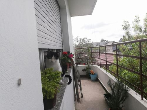 Balcony/terrace, Chacabuco Rest in Chacabuco Park