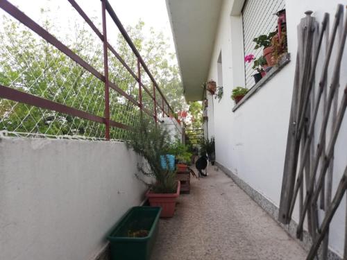 Balcony/terrace, Chacabuco Rest in Chacabuco Park