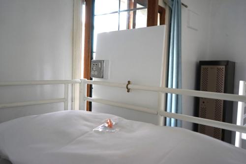 The Walrus Bar and Hostel – London