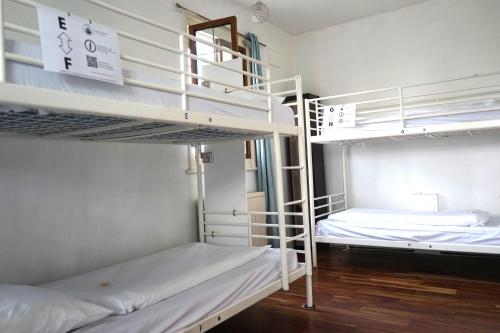 The Walrus Bar and Hostel Room Type - 1 Person in 8-Bed Dormitory - Mixed