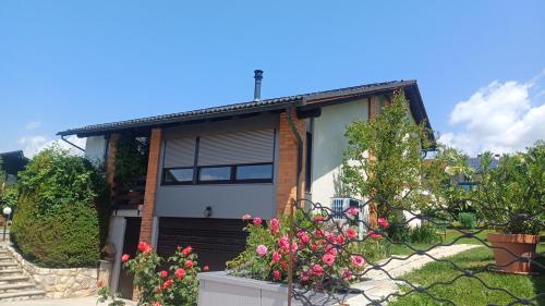 Apartma AJDA in Веленє