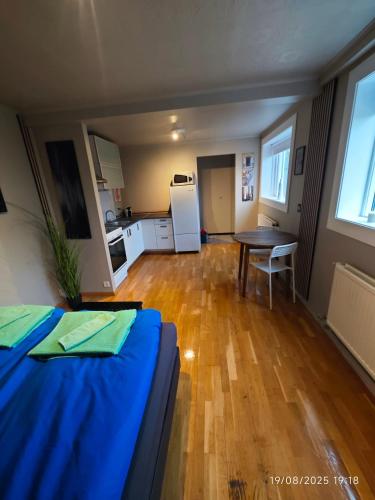 Studio Hafnarfjörður (Studio Hafnarfjorður) in Hafnarfjordur